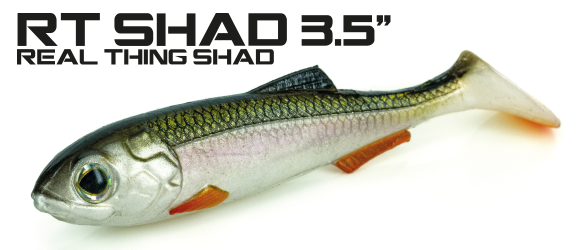 Molix Real Thing Shad 3.5 inch Lures